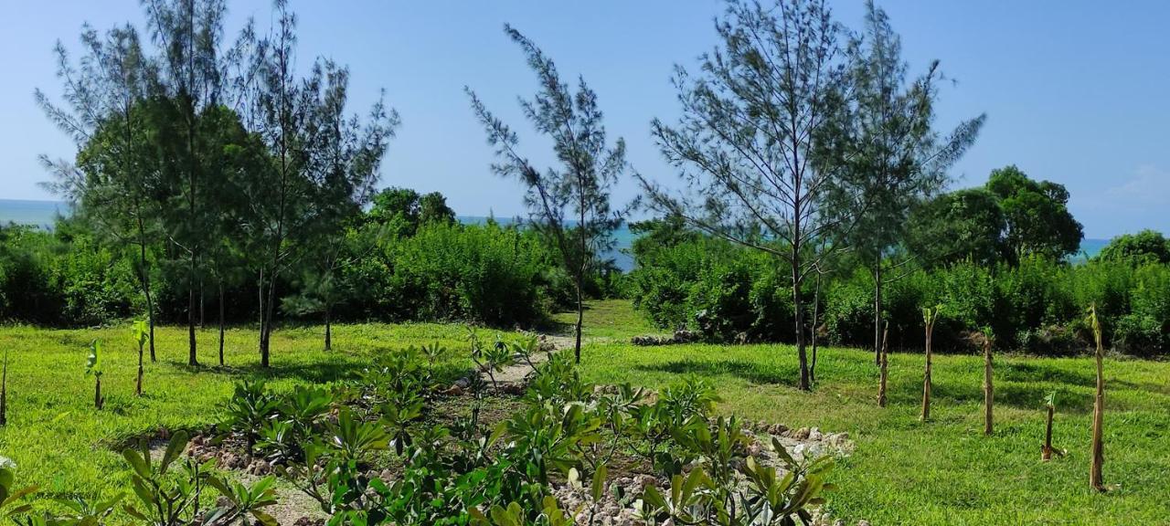 Amani Villas Nature Retreat Michamvi Kae Luaran gambar